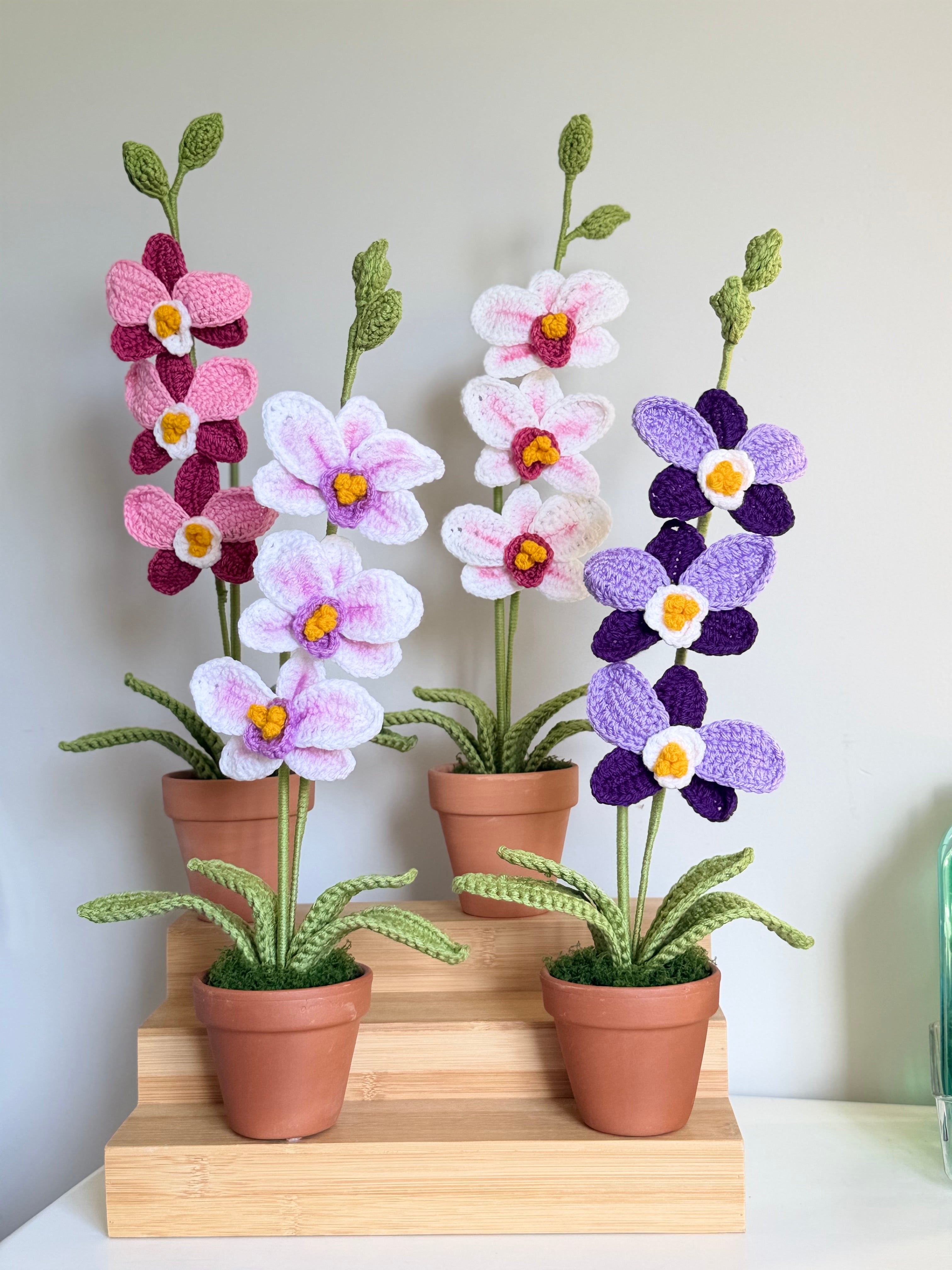 Orchids