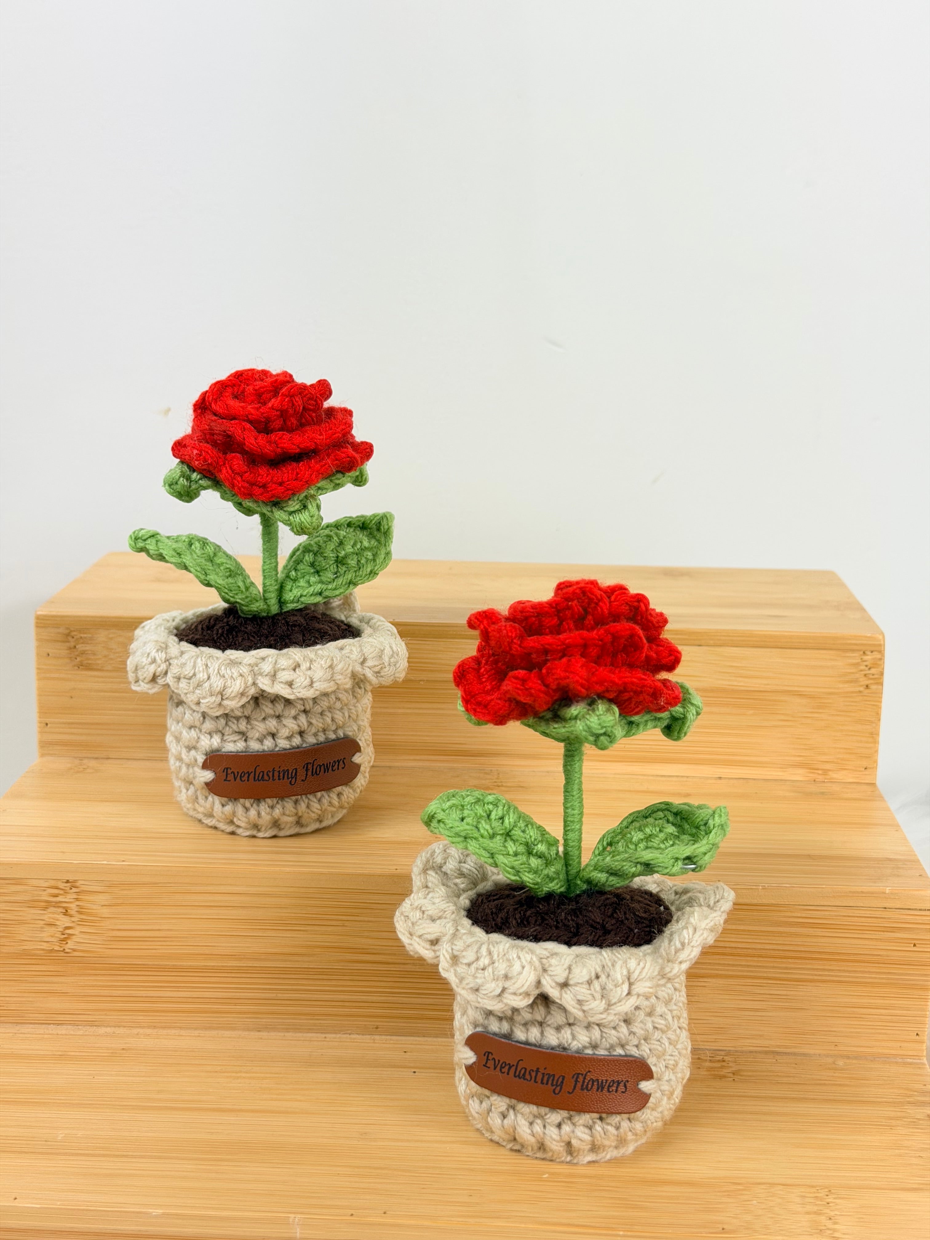 Mini rose