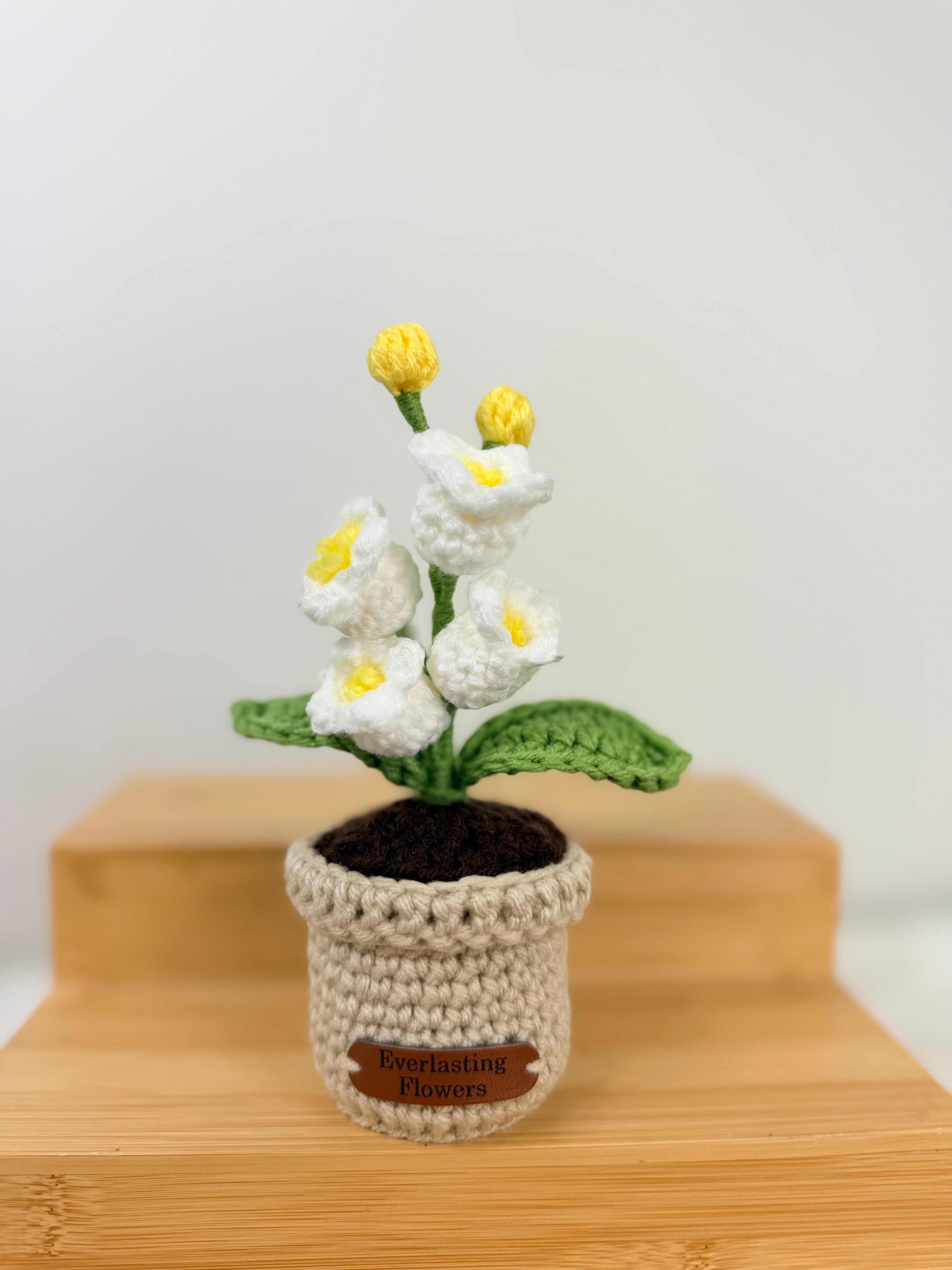 Lily of the valley