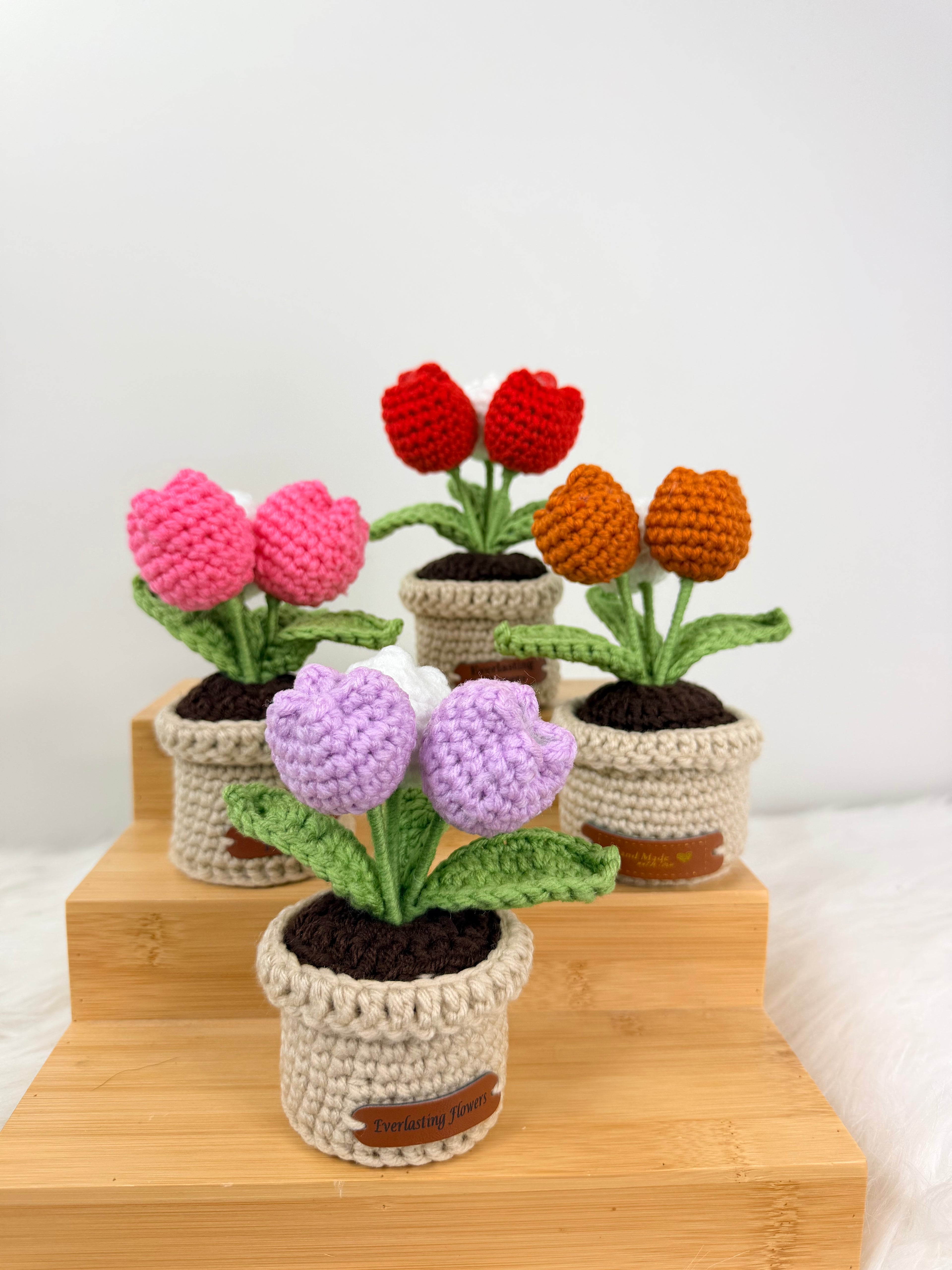 Tulips