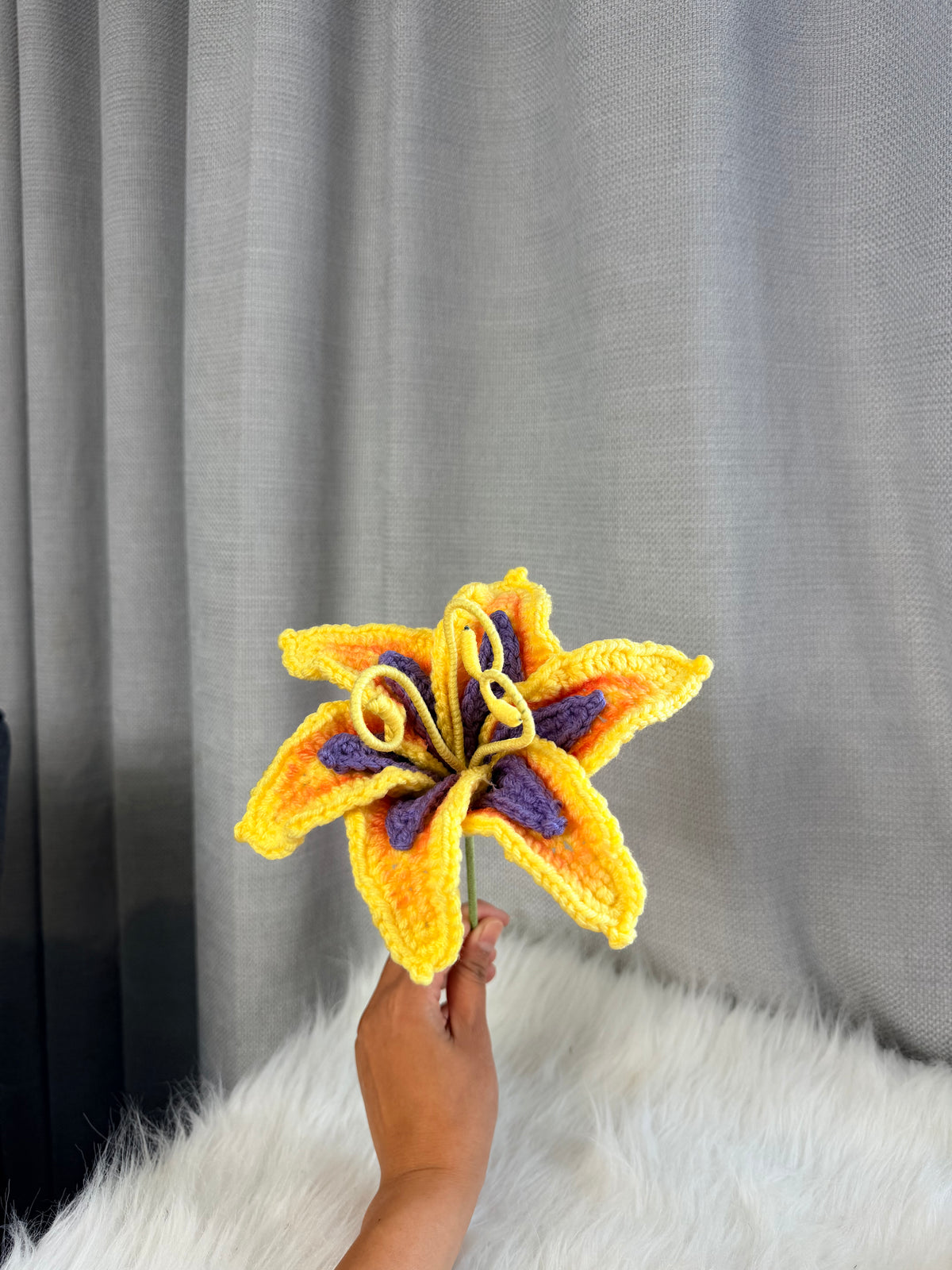 Sundrop “Tangled”