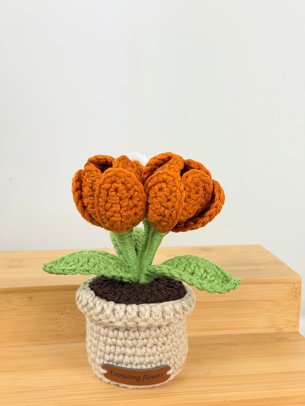 Blooming Tulips