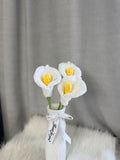 Calla lily