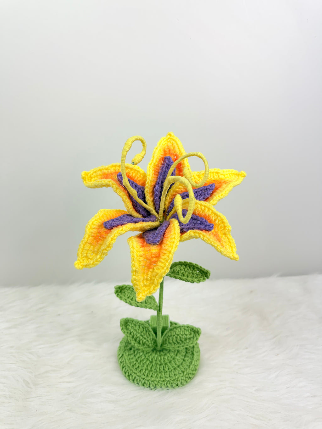 Sundrop “Tangled” stand with lights