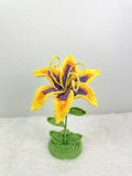 Sundrop “Tangled” stand with lights