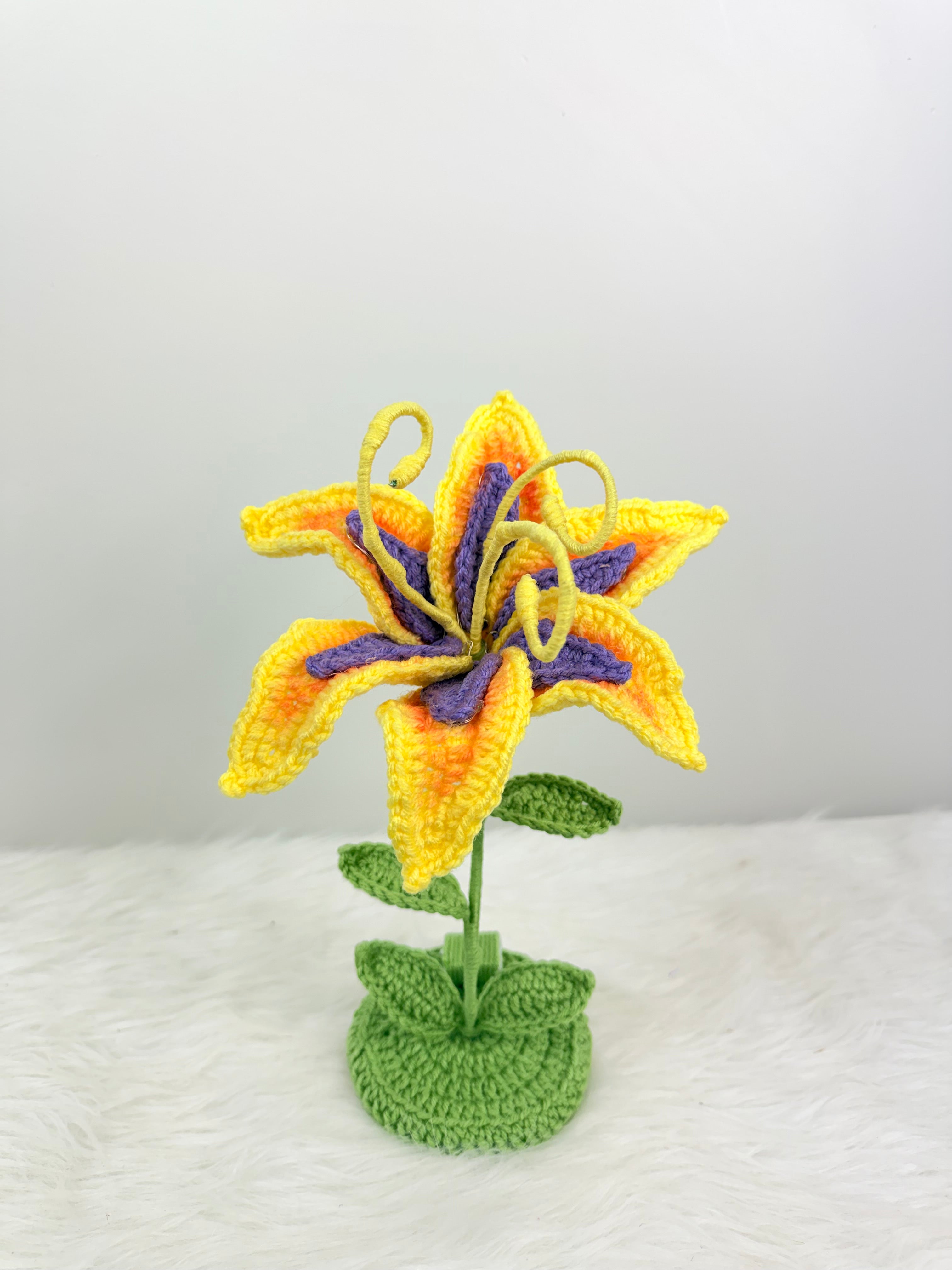 Sundrop “Tangled” stand with lights