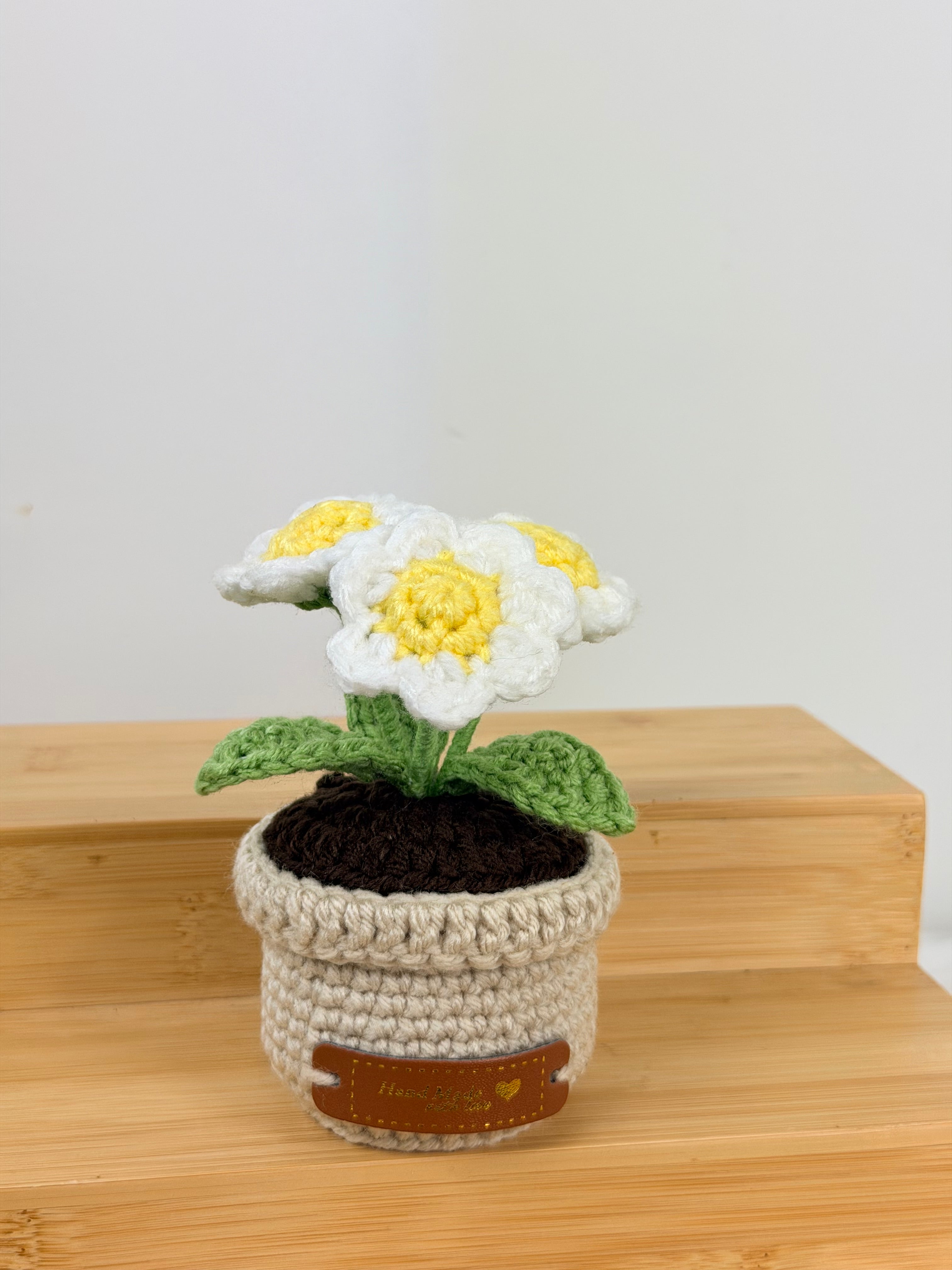 Daisy