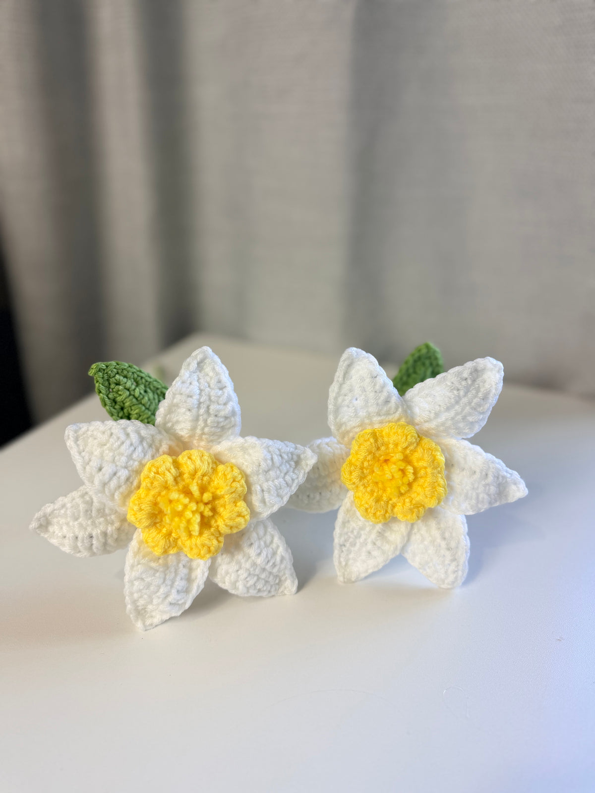 Daffodil