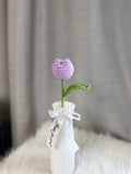 Tulip