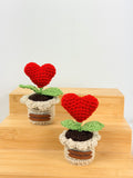 Mini Heart