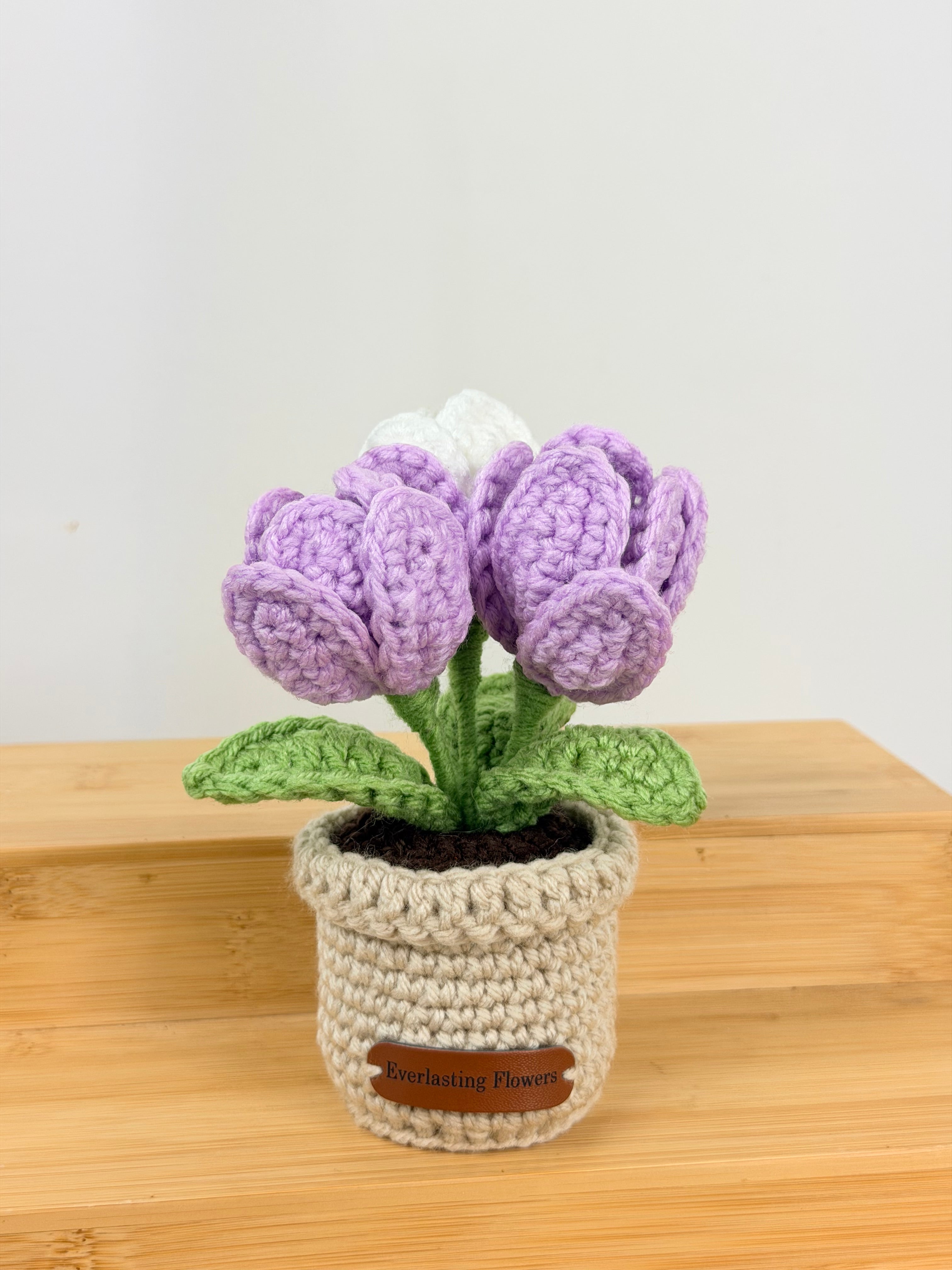 Blooming Tulips