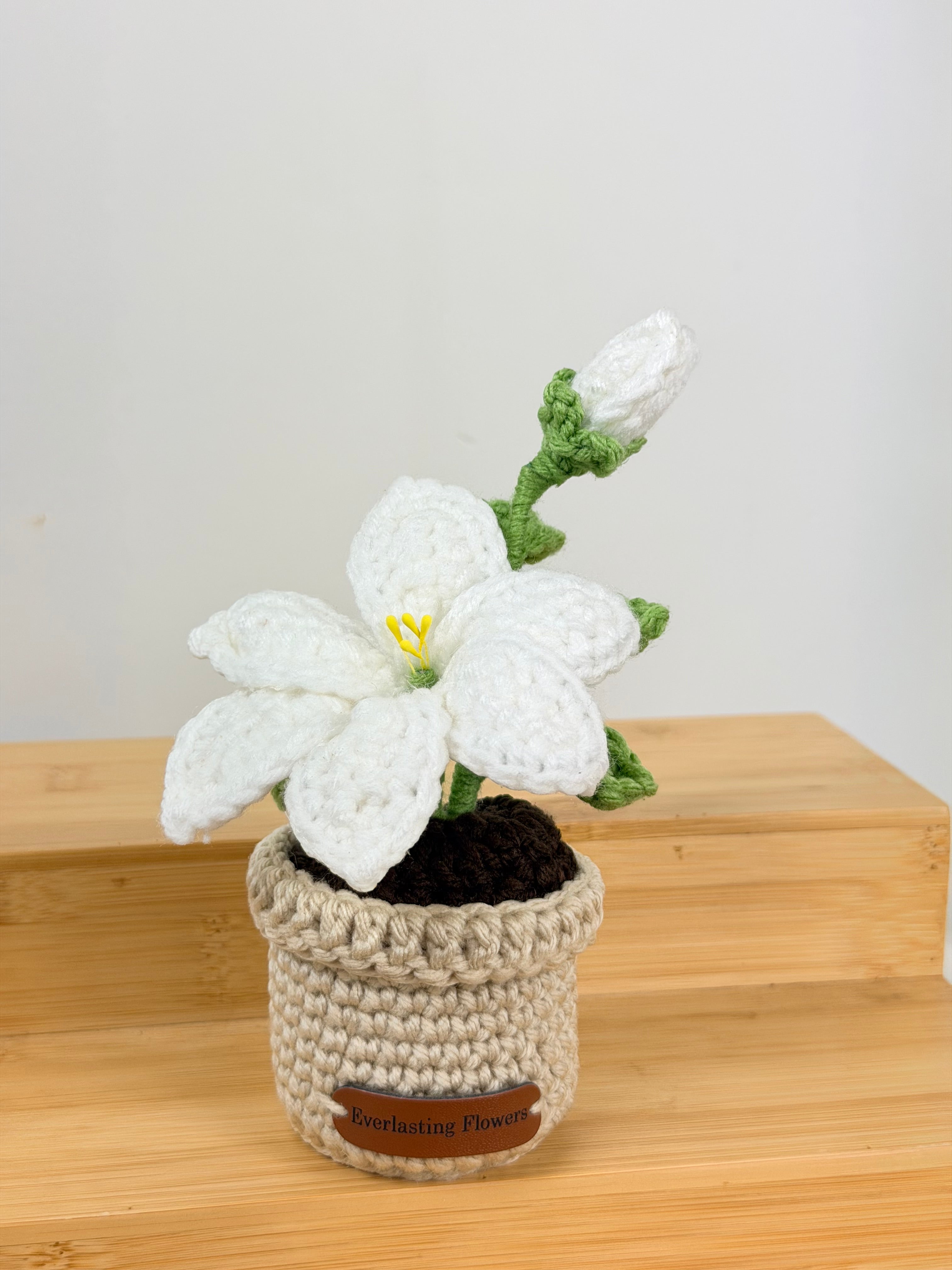 Lily