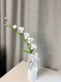 Freesia