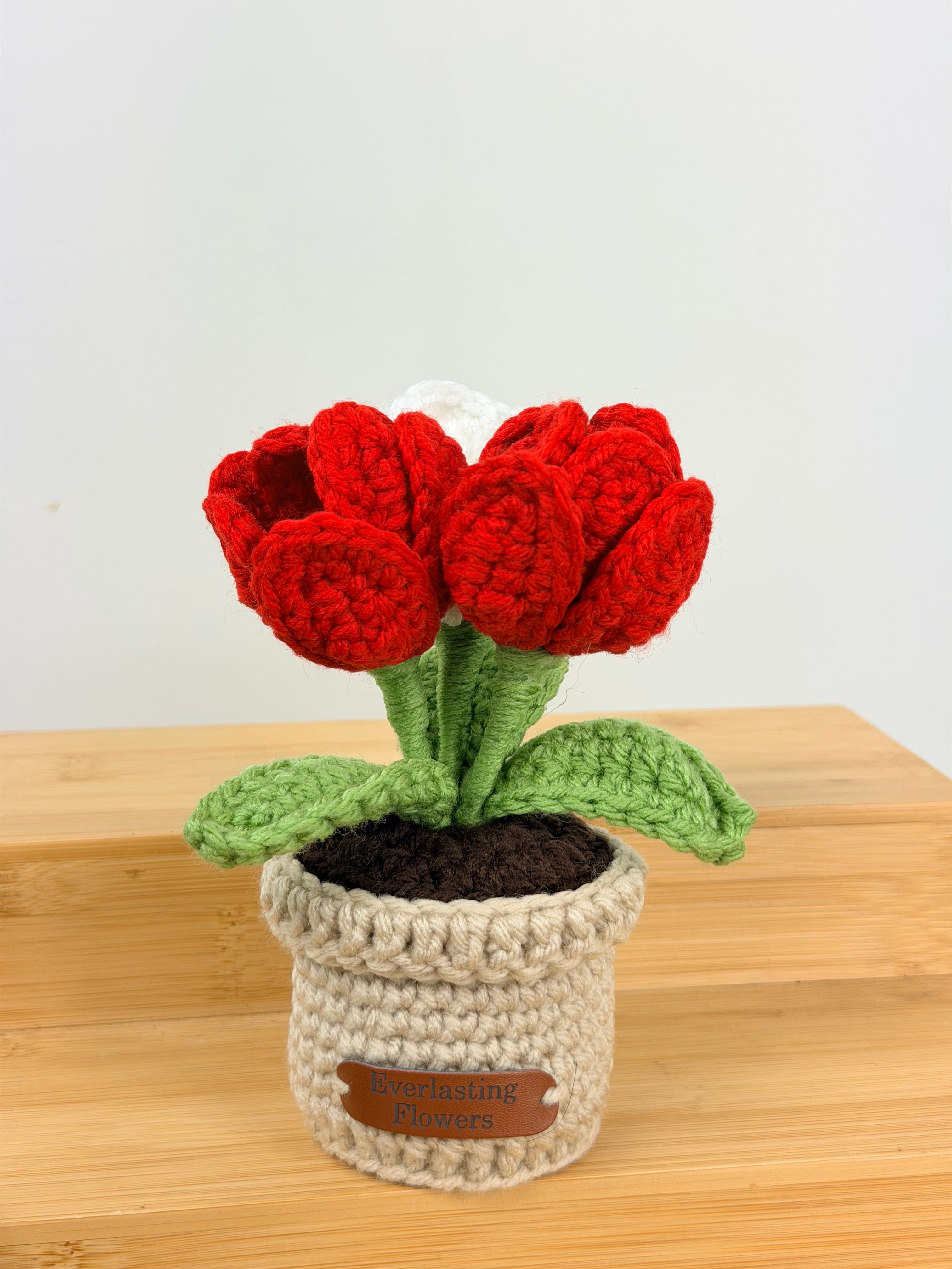 Blooming Tulips