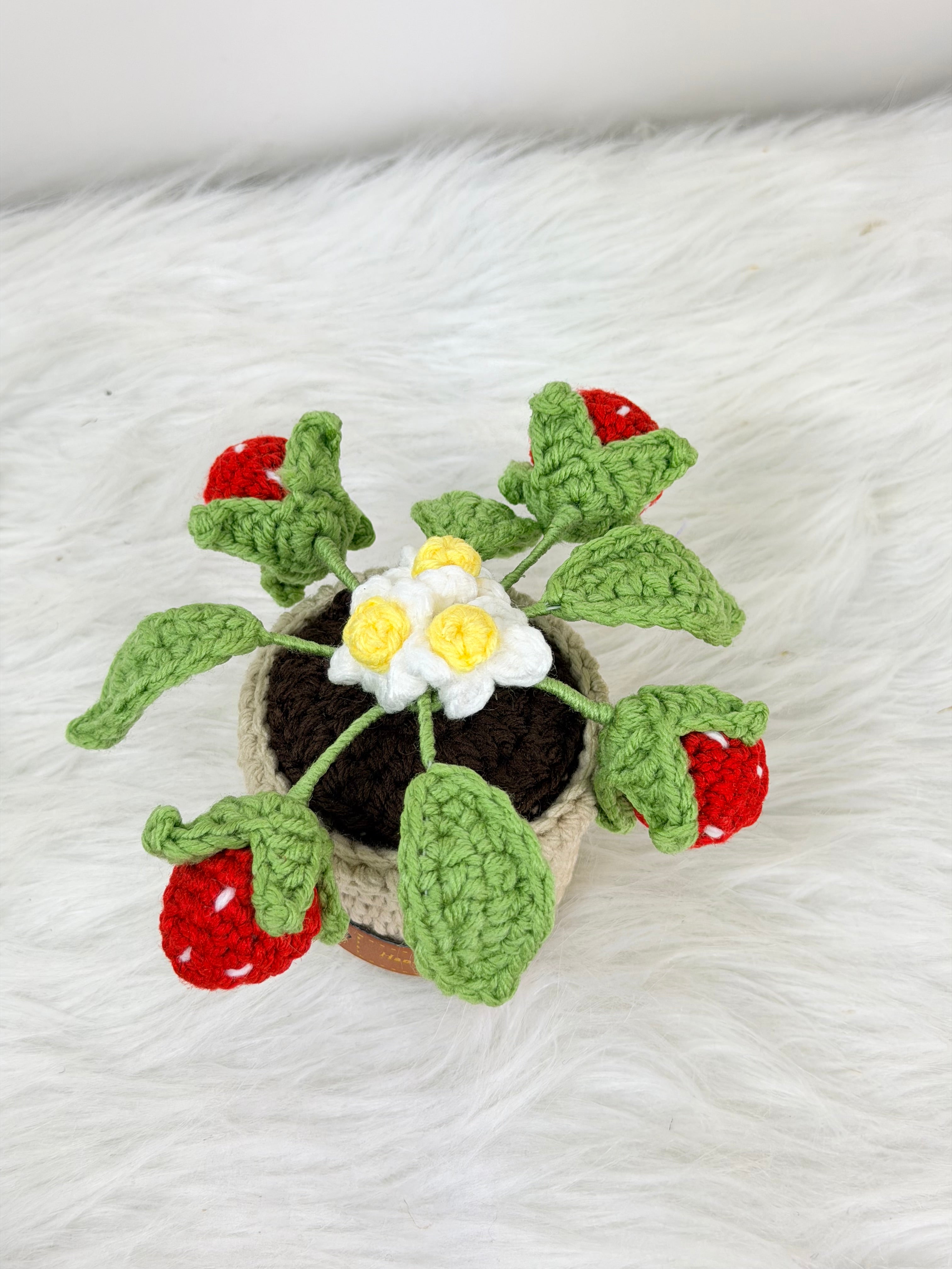 Strawberry