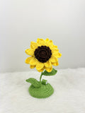 Sunflower stand with lights