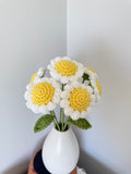 Daisy
