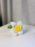 Daffodil