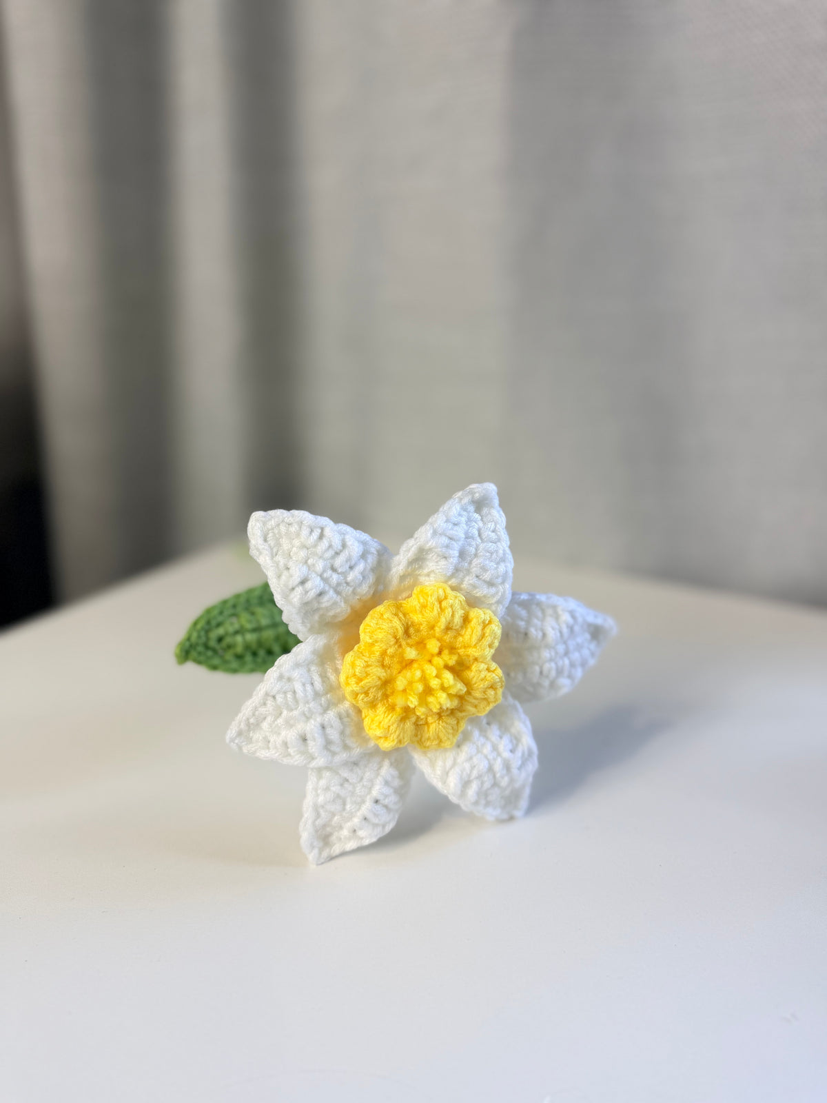 Daffodil