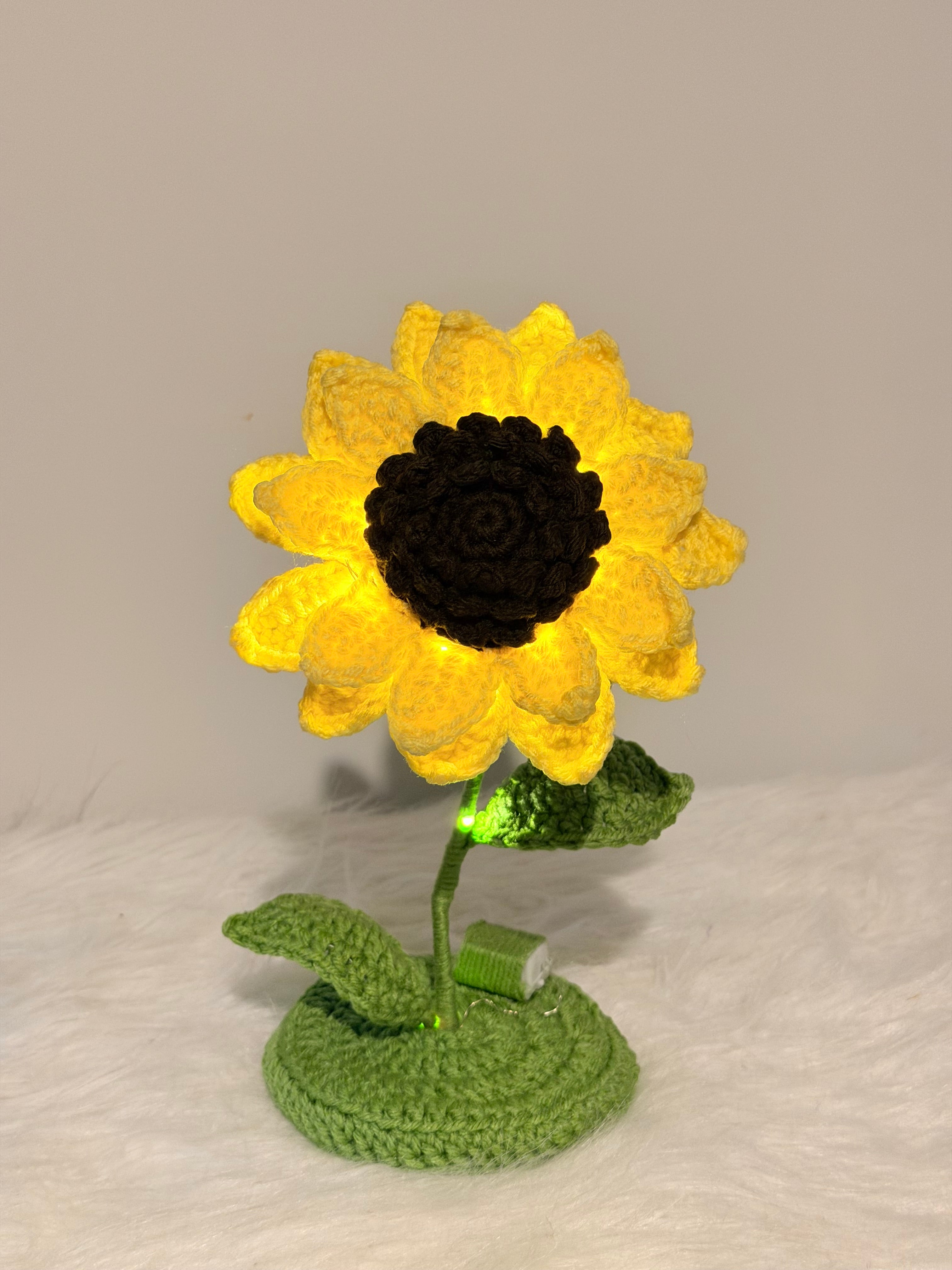 Sunflower stand with lights