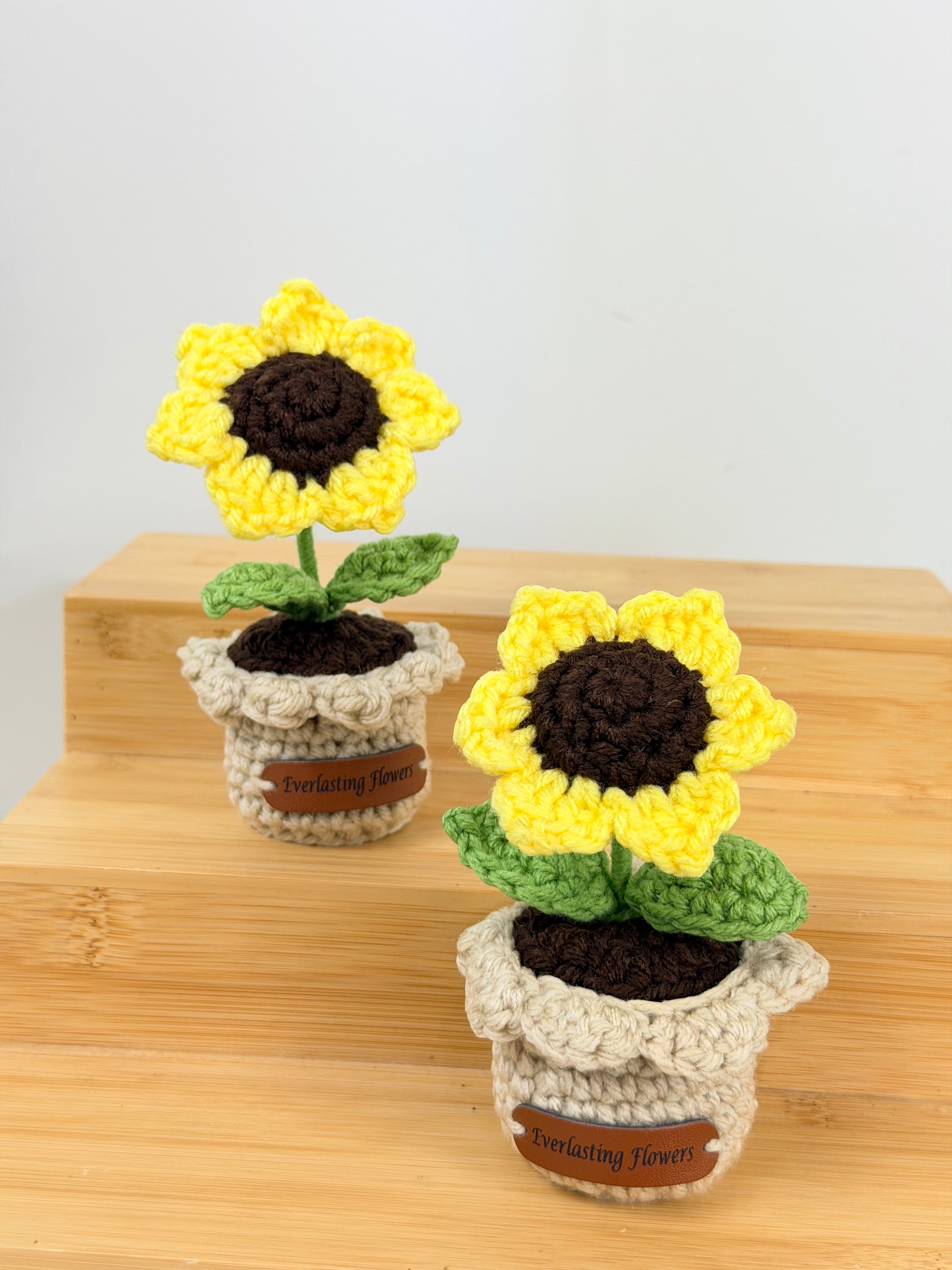 Mini Sunflower