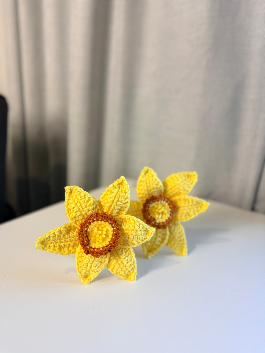 Daffodil