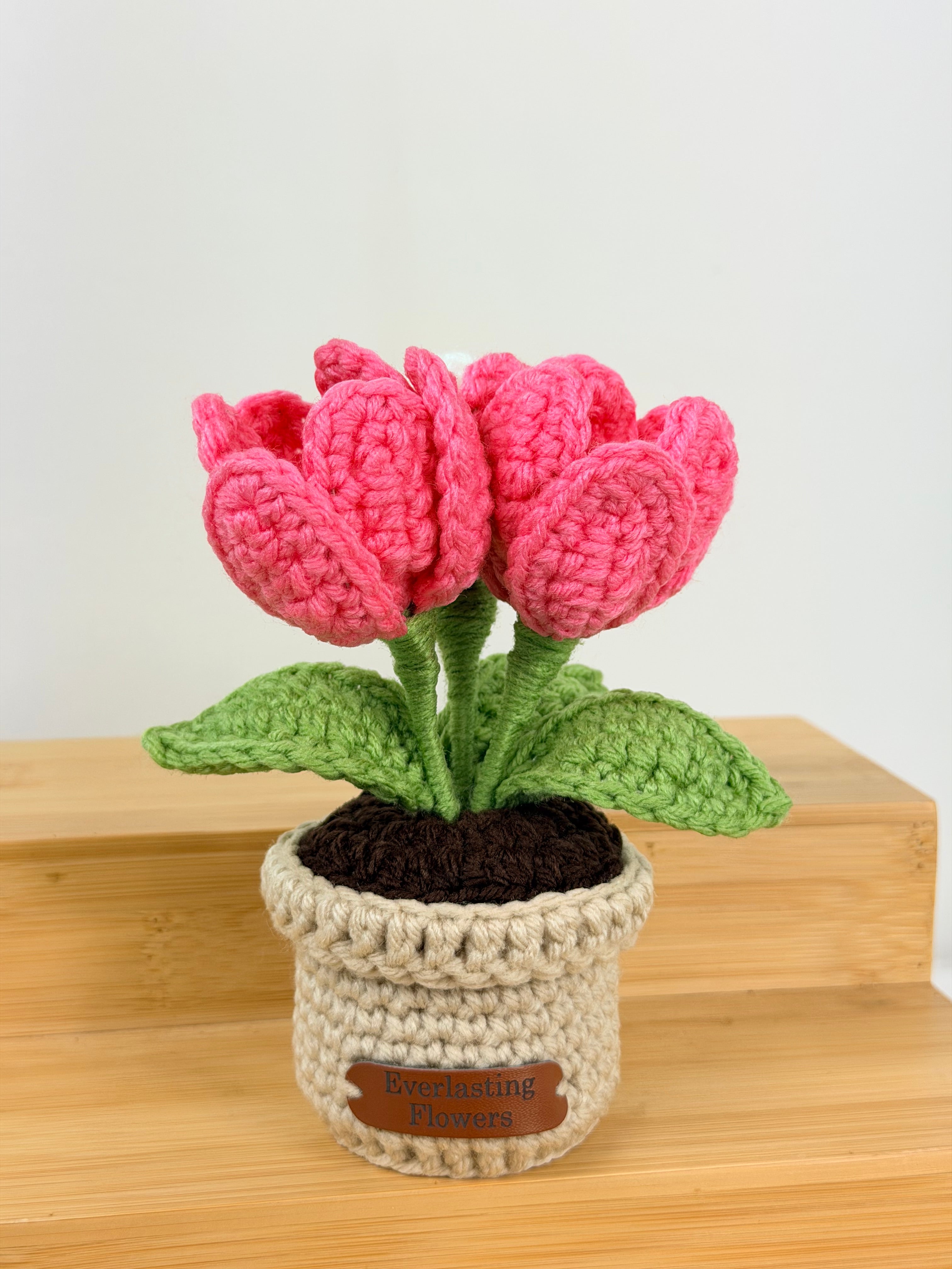 Blooming Tulips