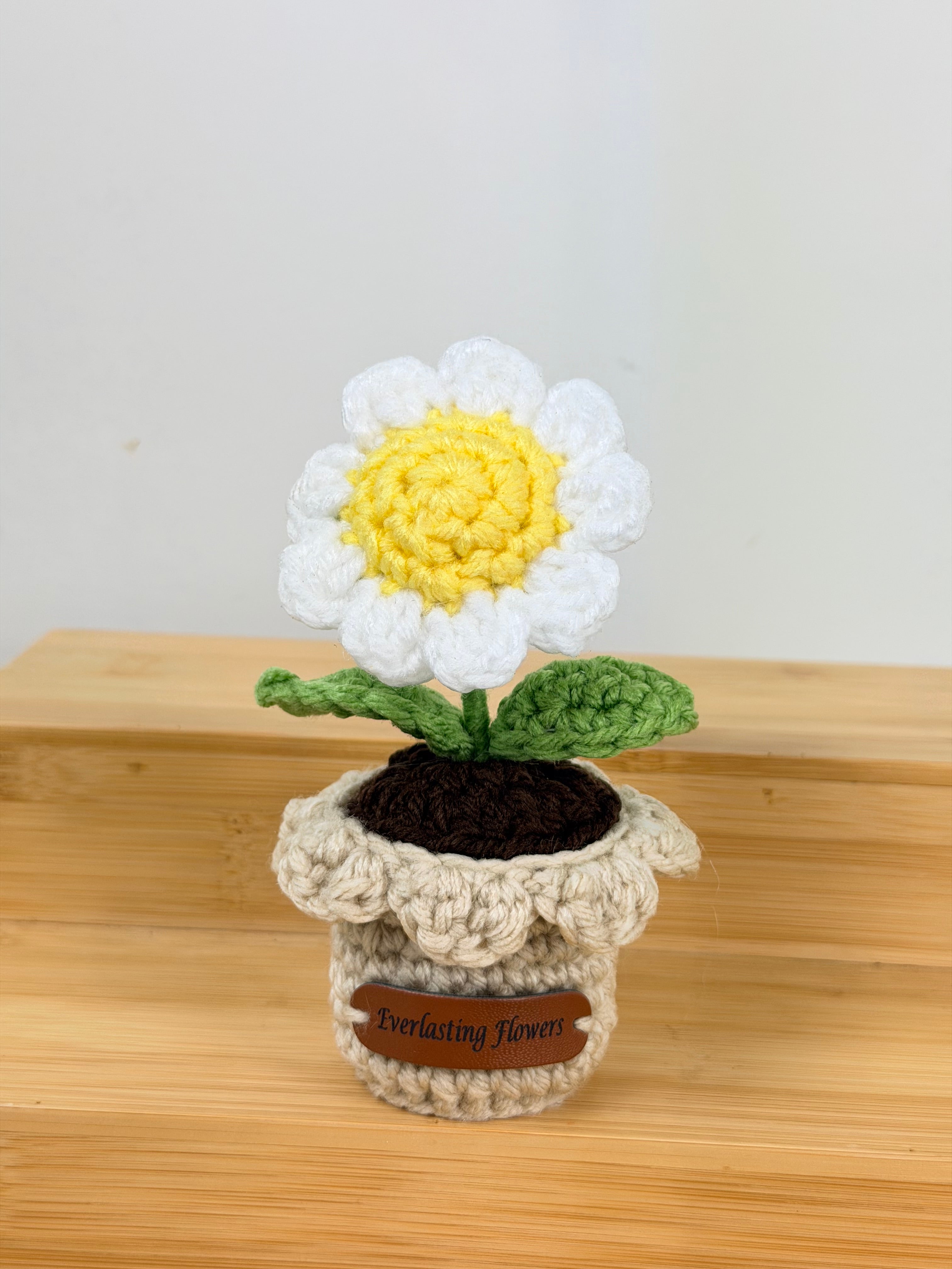 Mini Daisy